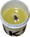 Fly in the Ointment